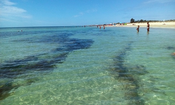 Spiagga Di Pescoluse - Maldive del Salento